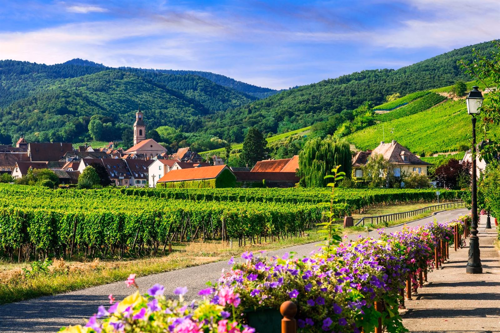 CURVES WKND 2027, Arlon to Strasbourg, 13/18