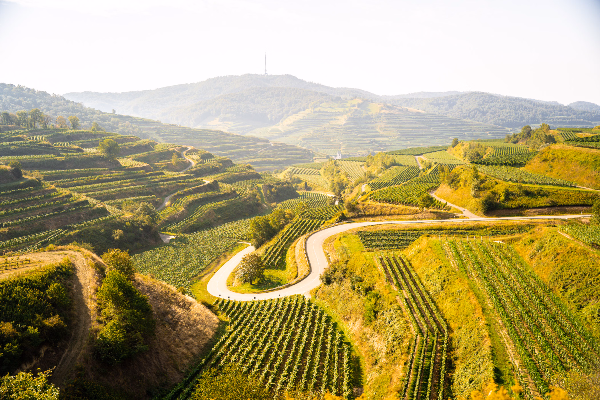 CURVES WKND 2027: Alsace & Vosges