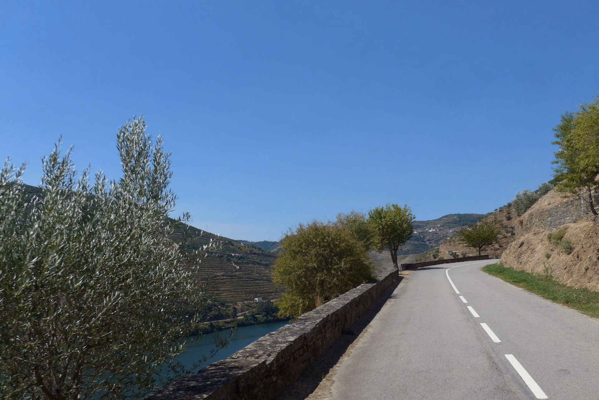 El Portugal 2027, Wednesday 15th of September: Amarante - Vacalar 🇵🇹, 13/22