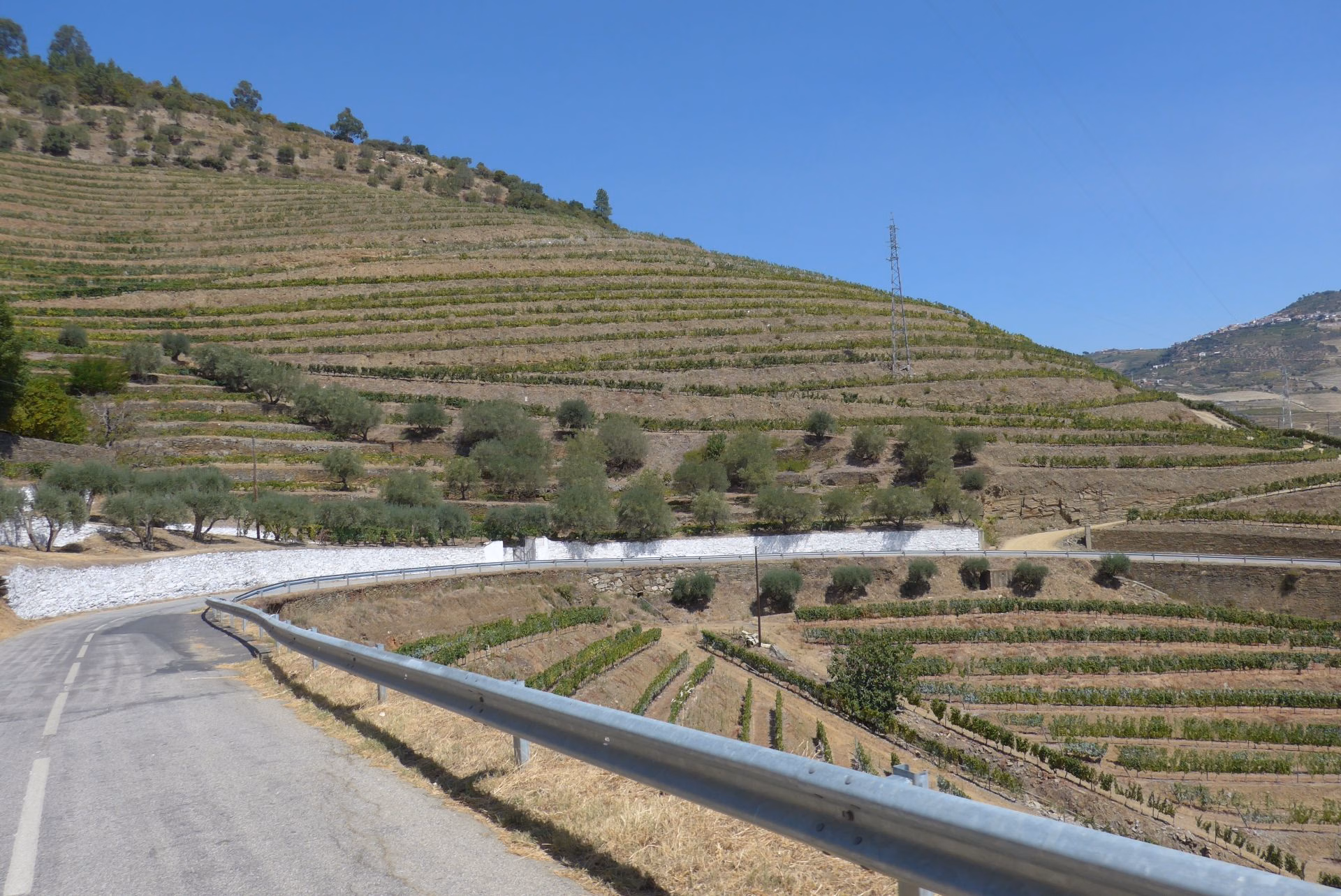 El Portugal 2027, Wednesday 15th of September: Amarante - Vacalar 🇵🇹, 3/22